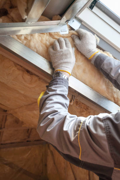 Best DIY Insulation Kits and Guidance in Lake Mack Forest Hills, FL