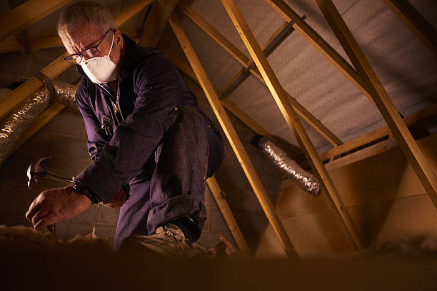 Best DIY Insulation Kits and Guidance in Lake Mack Forest Hills, FL
