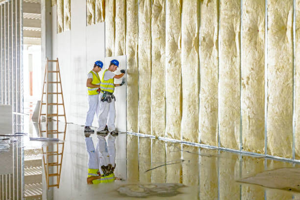 Best Insulation for Specific Applications in Lake Mack Forest Hills, FL